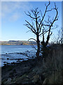 Dumbarton Rock from Langbank