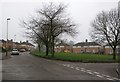 Corfield Rise in Braunstone Town