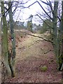 Trackbed of old railway at Lartington