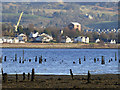 Timber ponds and Dumbarton