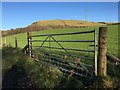 Gate into Field