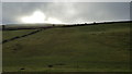 Grazing below Swinhopeburn