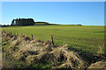 Looking towards Knock na Hare