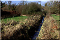 Stream under Borough Road