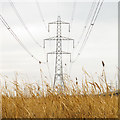 Pylons at Aveley Marshes, RSPB Rainham