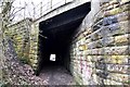 North entrance to bridge carrying mineral line over the old rope waggonway