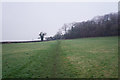 Footpath below Wattles Hill