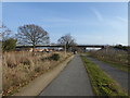 Path parallel with Berechurch Road, Colchester