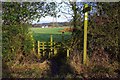 Stile on North Worcestershire Path, near Forhill, Worcs