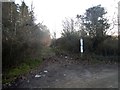 Path on Tinsley Green, Crawley