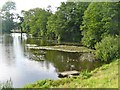 Old Wardour Castle - Pond