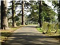 A drive in Cheltenham Cemetery