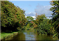 Llangollen Canal north-west of Hollinwood, Shropshire