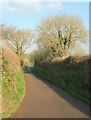 SW9843 : Lane to Tregerrick by Derek Harper