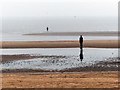 SJ3098 : Low tide, misty morning, iron men by Norman Caesar