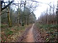 SE2609 : Public Footpath in Deffer Wood by Jonathan Clitheroe