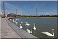 At the edge of The Lagoon in Helix Park