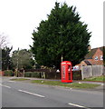 Red phonebox and evergreen tree, Quedgeley