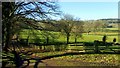 Track and countryside