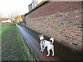 Checking out the flood defences