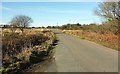 Road on Church Hay Down