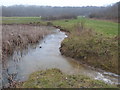 Pond in Claybury Park