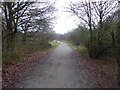 Ash Plantation, Claybury Park