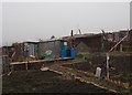 Allotments - Redhill Avenue