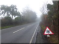 A foggy and icy Vicarage Lane