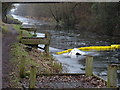 Sunken boat in canal