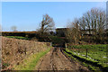 Track heading towards Meerhay Farm