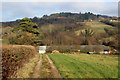 Wessex Ridgeway descending towards Stubb