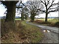 Country road at Munsley Green