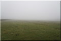 Foggy field near Meagill Lane