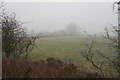 High Houses Farm in fog