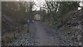 NY6861 : The South Tyne Trail as it heads south west from Park village by Clive Nicholson
