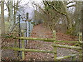 Footpath goes north towards the A281