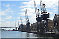 Cranes, Victoria Dock