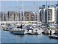 Portishead Marina