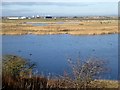 NZ4923 : View over Haverton Hole Pools by Oliver Dixon