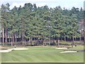 Hankley Common Golf Course