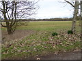 Looking northwards from footpath junction near Horton Hall