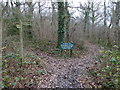 Path in Tottington Wood Local Nature Reserve