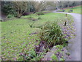 Stream through Maryon Wilson Park in winter