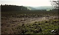 Field by the Atlantic Highway