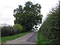 Gibsons Lane passes Grange Cottages