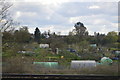 Allotments, Twyford