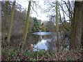 Lake in Caynton Gorse