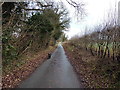 Byway near Chetwynd Grange