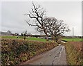 Track to Westford Park Farm